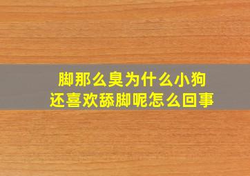 脚那么臭为什么小狗还喜欢舔脚呢怎么回事