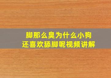 脚那么臭为什么小狗还喜欢舔脚呢视频讲解