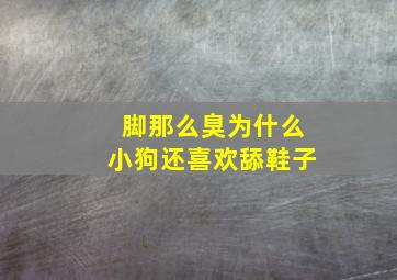 脚那么臭为什么小狗还喜欢舔鞋子