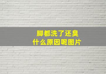 脚都洗了还臭什么原因呢图片