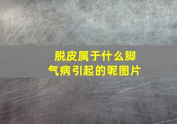 脱皮属于什么脚气病引起的呢图片