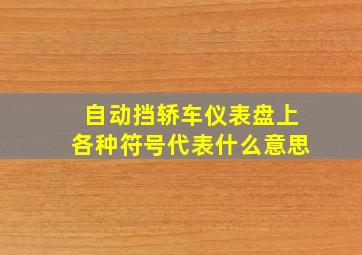 自动挡轿车仪表盘上各种符号代表什么意思