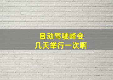 自动驾驶峰会几天举行一次啊