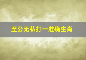 至公无私打一准确生肖