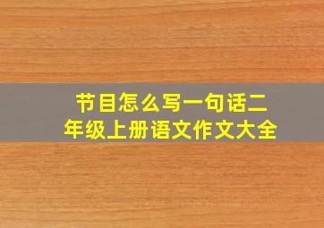 节目怎么写一句话二年级上册语文作文大全