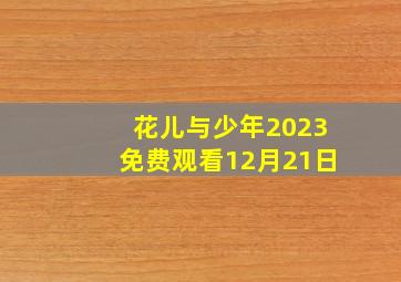 花儿与少年2023免费观看12月21日