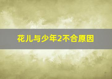 花儿与少年2不合原因