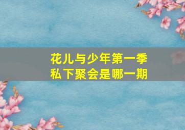 花儿与少年第一季私下聚会是哪一期