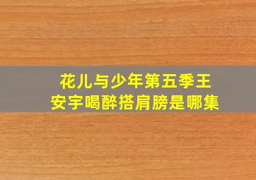 花儿与少年第五季王安宇喝醉搭肩膀是哪集