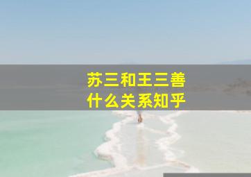 苏三和王三善什么关系知乎