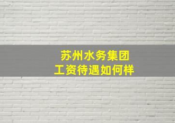 苏州水务集团工资待遇如何样