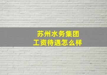 苏州水务集团工资待遇怎么样