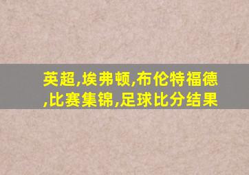 英超,埃弗顿,布伦特福德,比赛集锦,足球比分结果