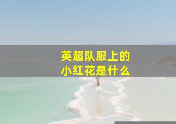 英超队服上的小红花是什么