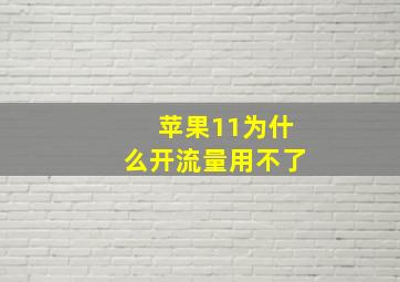 苹果11为什么开流量用不了