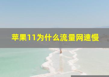 苹果11为什么流量网速慢