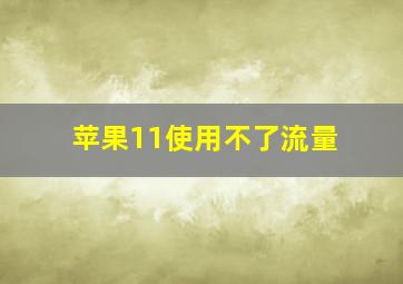 苹果11使用不了流量