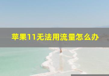 苹果11无法用流量怎么办