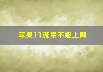 苹果11流量不能上网