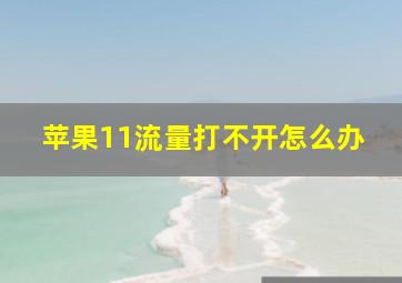 苹果11流量打不开怎么办