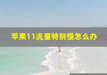 苹果11流量特别慢怎么办