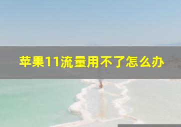 苹果11流量用不了怎么办