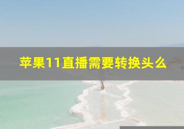 苹果11直播需要转换头么