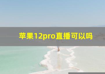 苹果12pro直播可以吗