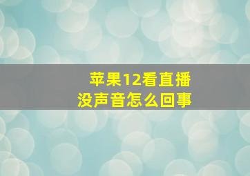 苹果12看直播没声音怎么回事