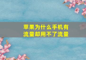 苹果为什么手机有流量却用不了流量