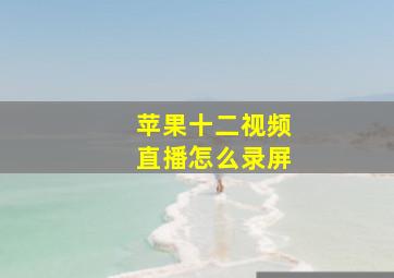 苹果十二视频直播怎么录屏