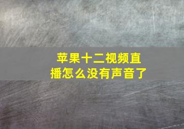 苹果十二视频直播怎么没有声音了