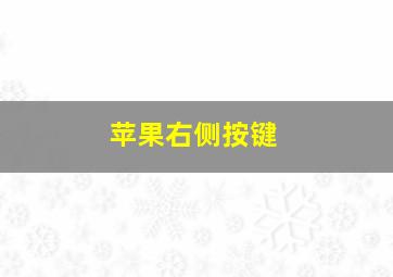 苹果右侧按键