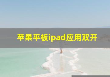 苹果平板ipad应用双开