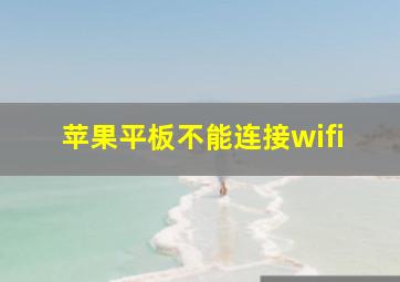 苹果平板不能连接wifi