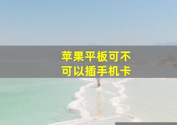 苹果平板可不可以插手机卡