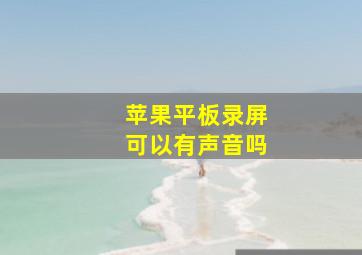 苹果平板录屏可以有声音吗