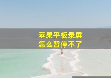 苹果平板录屏怎么暂停不了