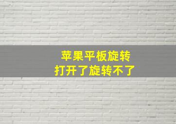 苹果平板旋转打开了旋转不了