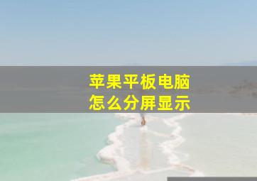 苹果平板电脑怎么分屏显示