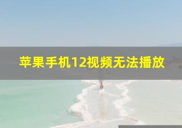 苹果手机12视频无法播放