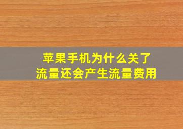 苹果手机为什么关了流量还会产生流量费用