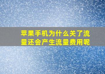 苹果手机为什么关了流量还会产生流量费用呢