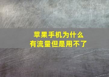 苹果手机为什么有流量但是用不了