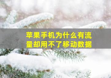 苹果手机为什么有流量却用不了移动数据