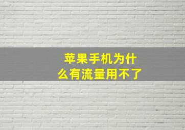 苹果手机为什么有流量用不了