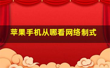 苹果手机从哪看网络制式