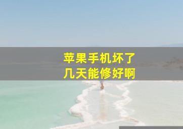 苹果手机坏了几天能修好啊