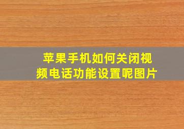 苹果手机如何关闭视频电话功能设置呢图片