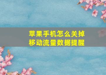 苹果手机怎么关掉移动流量数据提醒